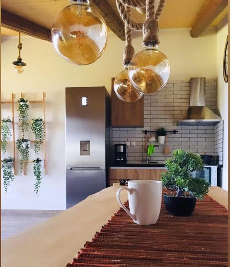 Agios Nikolaos Loft By The Sea-Agios Nikolaos-Lefkadaアパートメント エクステリア 写真